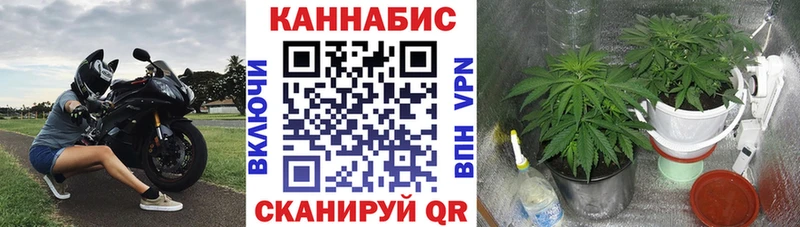 Наркотические вещества Коркино ГАШИШ MEGA как войти Меф мяу мяу АМФ Канабис Кокаин