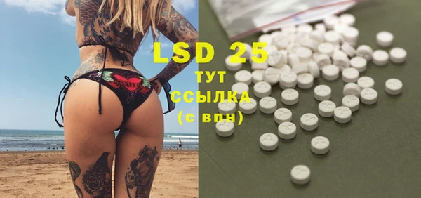 хмурый Белокуриха