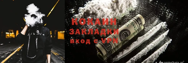 хмурый Белокуриха