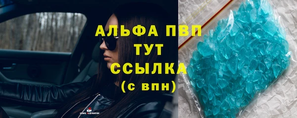 хмурый Белокуриха