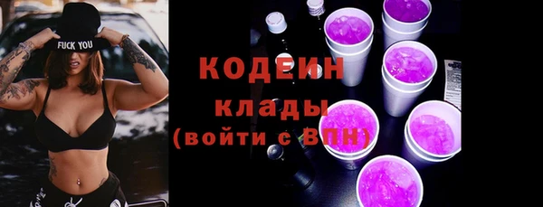 хмурый Белокуриха