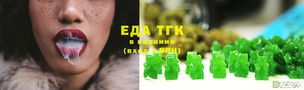 хмурый Белокуриха