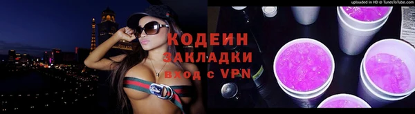 хмурый Белокуриха