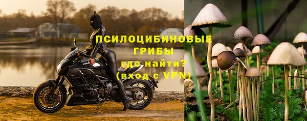ешки Белоозёрский
