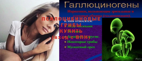 хмурый Белокуриха