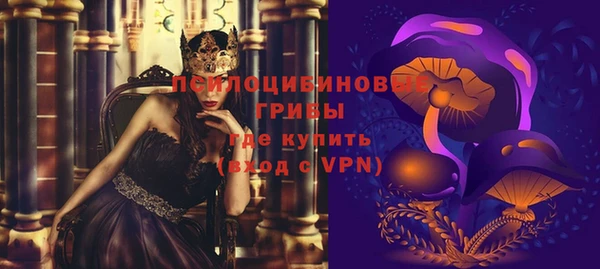 хмурый Белокуриха